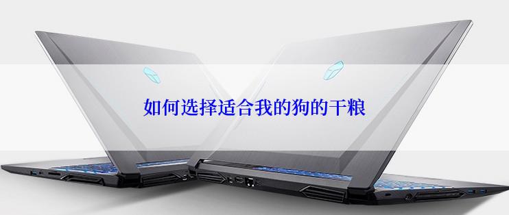 如何选择适合我的狗的干粮