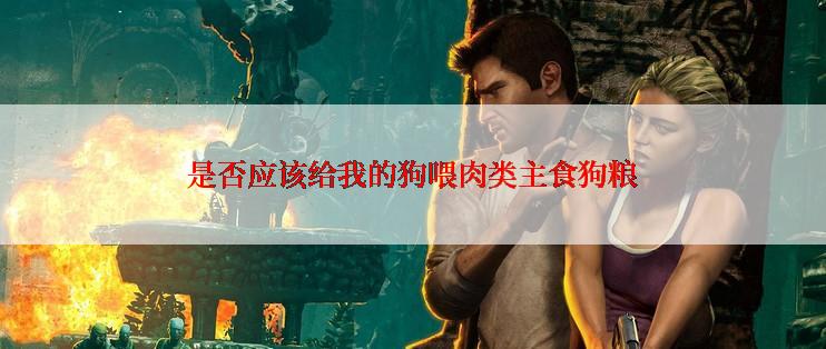 是否应该给我的狗喂肉类主食狗粮