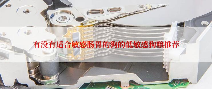 有没有适合敏感肠胃的狗的低敏感狗粮推荐