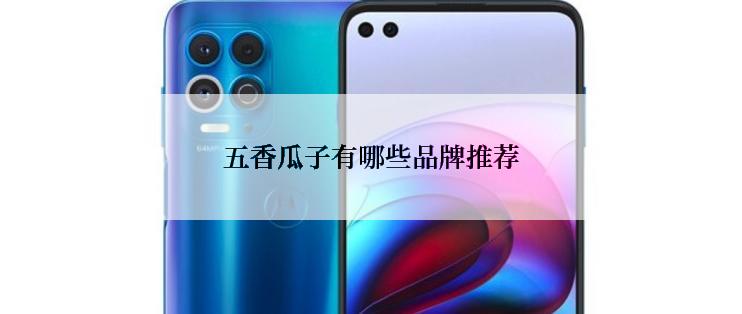 五香瓜子有哪些品牌推荐