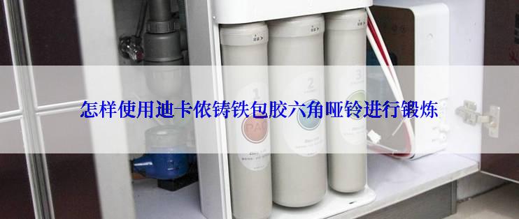 怎样使用迪卡侬铸铁包胶六角哑铃进行锻炼