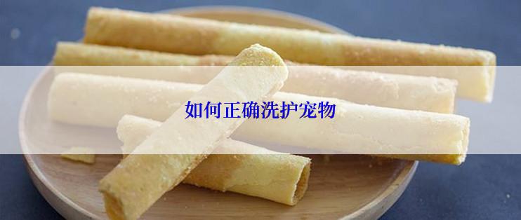 如何正确洗护宠物