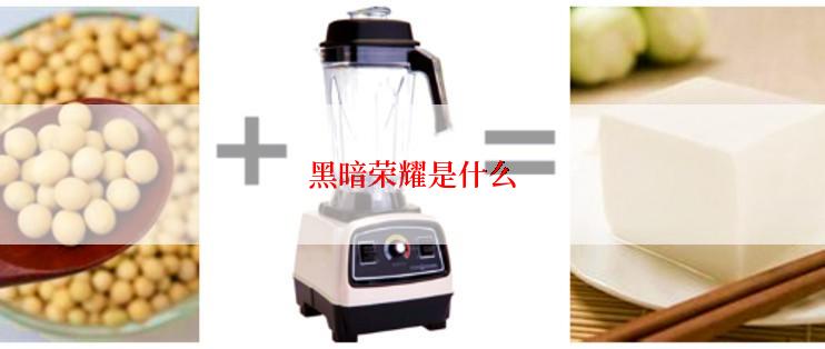 黑暗荣耀是什么