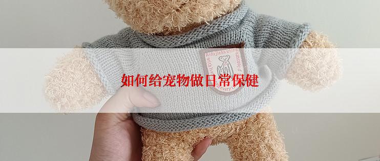 如何给宠物做日常保健