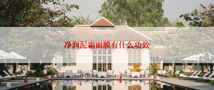 净润泥霜面膜有什么功效