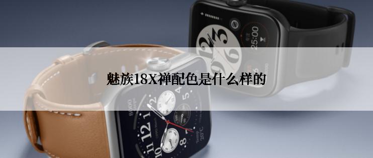 魅族18X禅配色是什么样的
