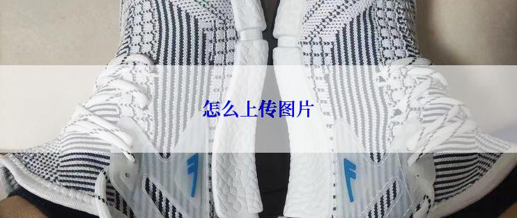 怎么上传图片