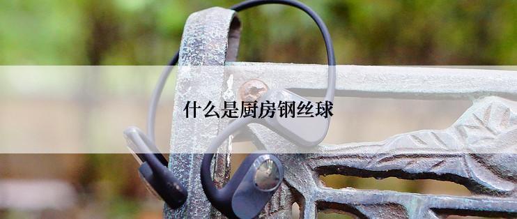 什么是厨房钢丝球