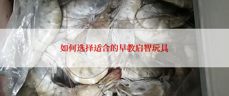 如何选择适合的早教启智玩具