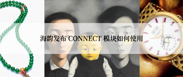 海韵发布 CONNECT 模块如何使用