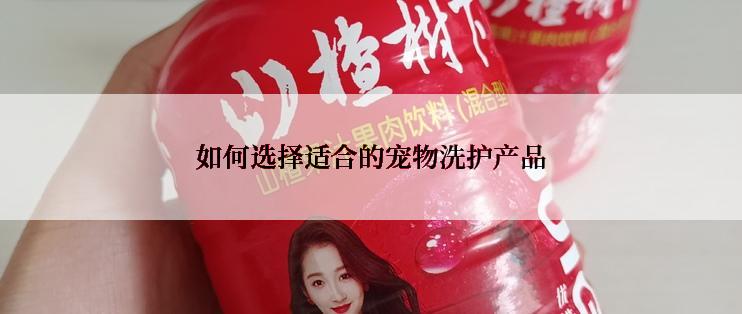 如何选择适合的宠物洗护产品