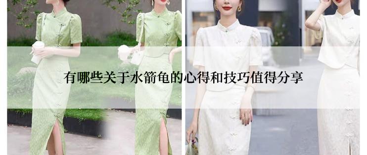 有哪些关于水箭龟的心得和技巧值得分享