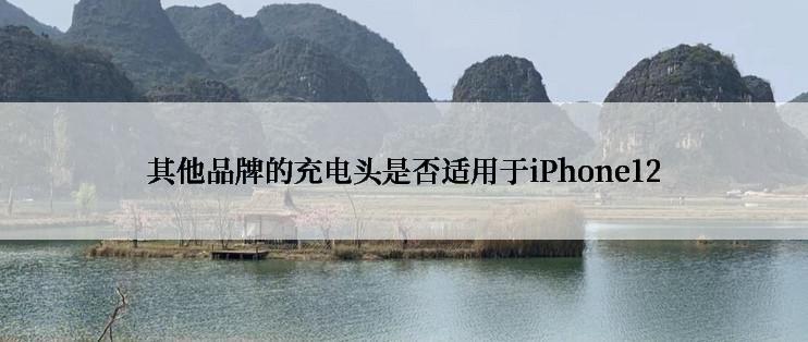 其他品牌的充电头是否适用于iPhone12
