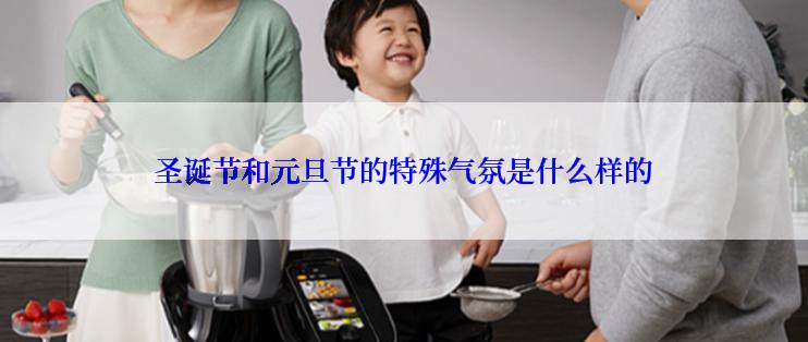 圣诞节和元旦节的特殊气氛是什么样的