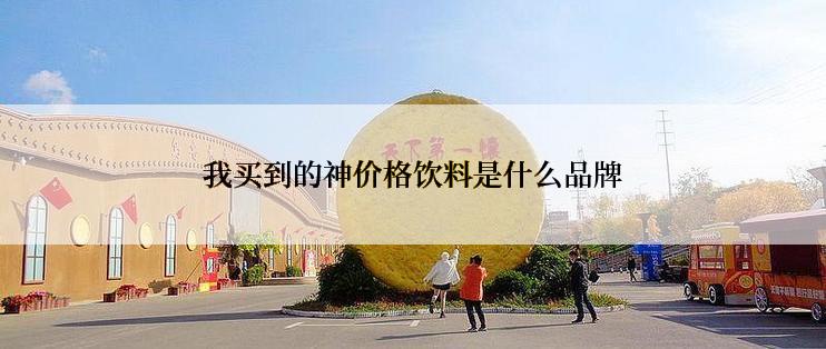 我买到的神价格饮料是什么品牌