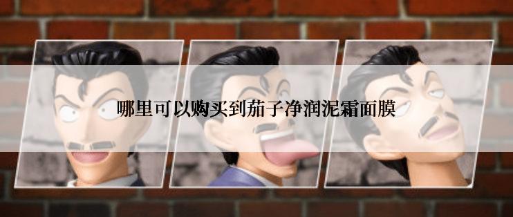 哪里可以购买到茄子净润泥霜面膜