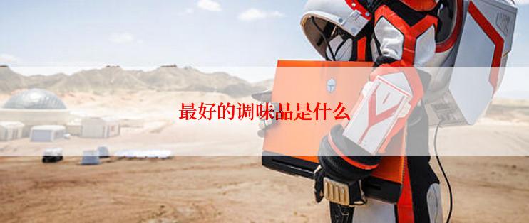 最好的调味品是什么