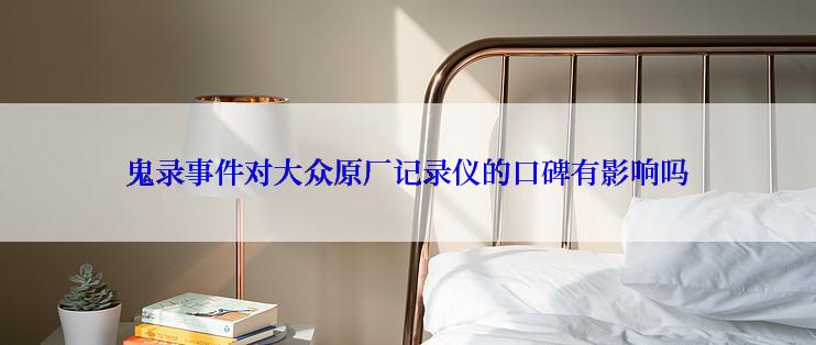 鬼录事件对大众原厂记录仪的口碑有影响吗