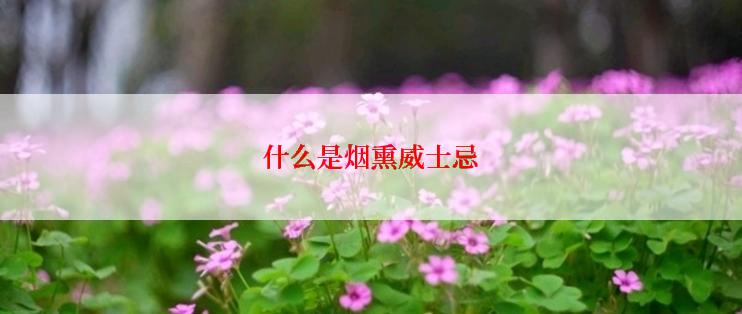 如何选购圣诞节服饰