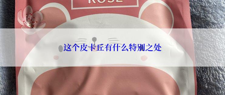 这个皮卡丘有什么特别之处