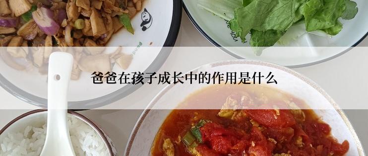 爸爸在孩子成长中的作用是什么
