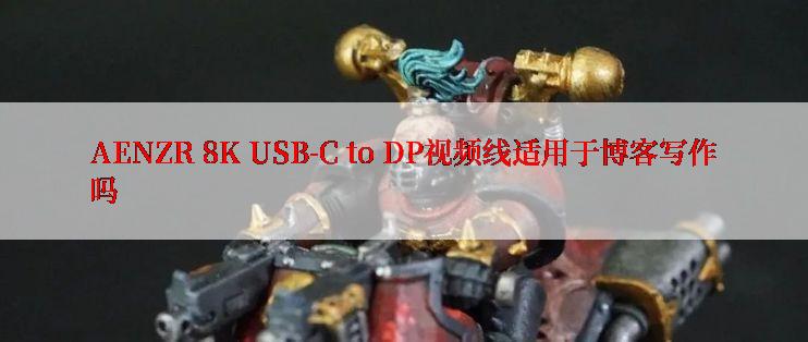 AENZR 8K USB-C to DP视频线适用于博客写作吗