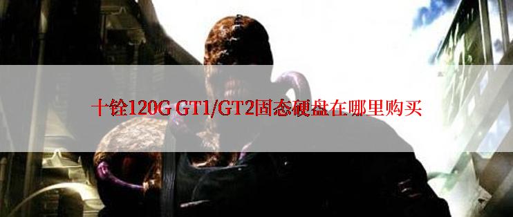 十铨120G GT1/GT2固态硬盘在哪里购买