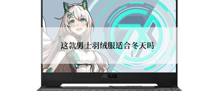 这款男士羽绒服适合冬天吗