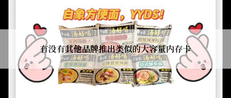 有没有其他品牌推出类似的大容量内存卡