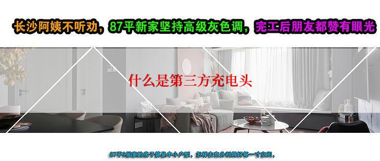 什么是第三方充电头