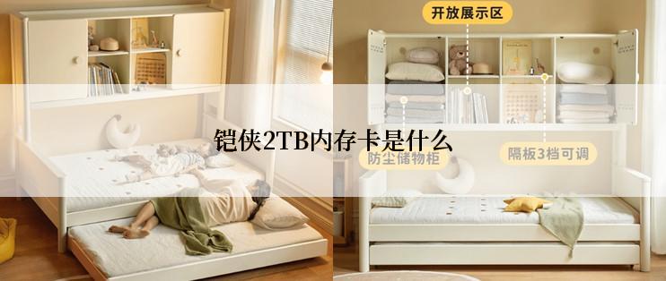 铠侠2TB内存卡是什么
