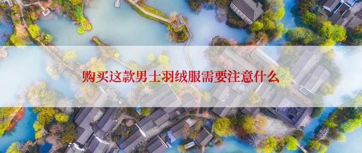 购买这款男士羽绒服需要注意什么