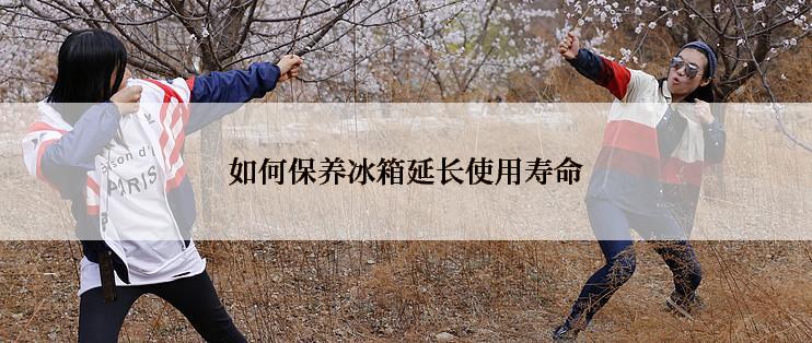 如何保养冰箱延长使用寿命