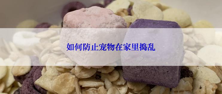 如何防止宠物在家里捣乱