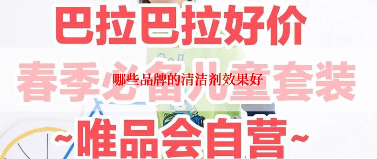 哪些品牌的清洁剂效果好
