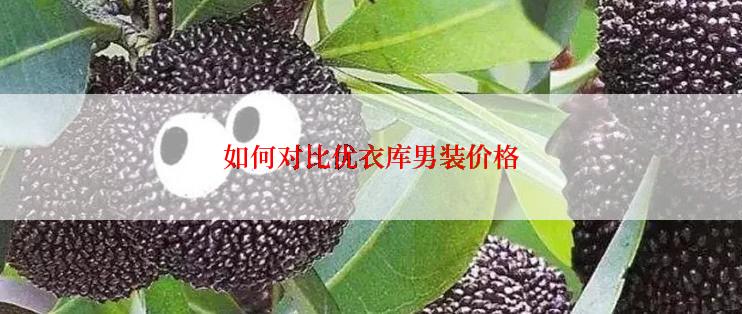 如何对比优衣库男装价格
