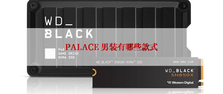 PALACE 男装有哪些款式