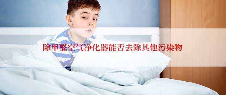 除甲醛空气净化器能否去除其他污染物