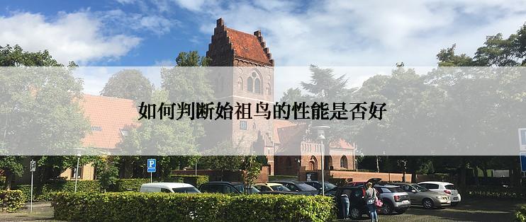 如何判断始祖鸟的性能是否好