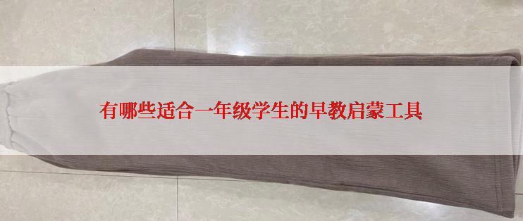 有哪些适合一年级学生的早教启蒙工具