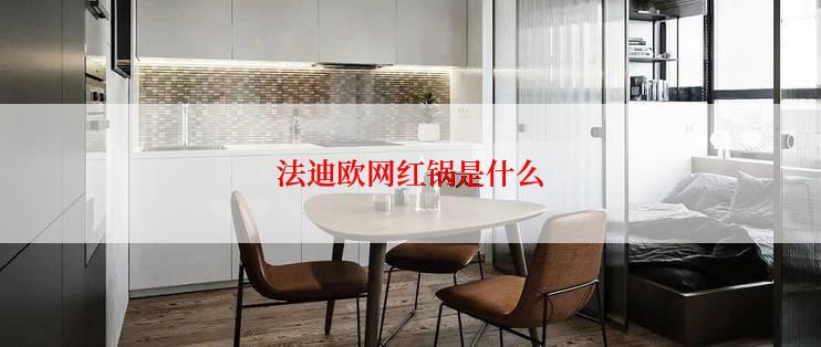 法迪欧网红锅是什么