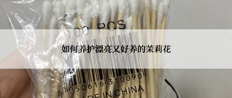 如何养护漂亮又好养的茉莉花