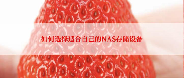 如何选择适合自己的NAS存储设备