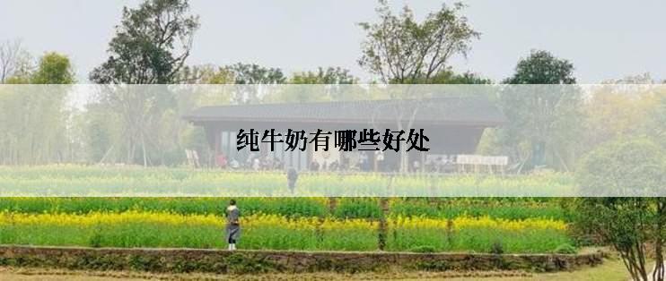 纯牛奶有哪些好处