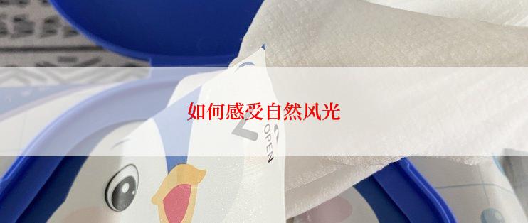 如何感受自然风光