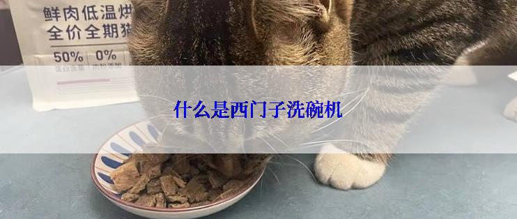 什么是西门子洗碗机