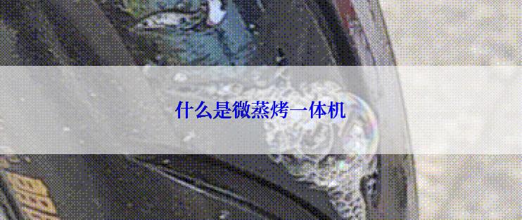 什么是微蒸烤一体机
