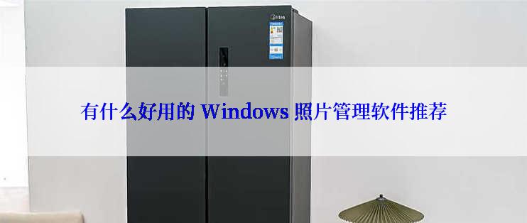 有什么好用的 Windows 照片管理软件推荐