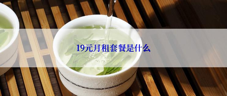19元月租套餐是什么