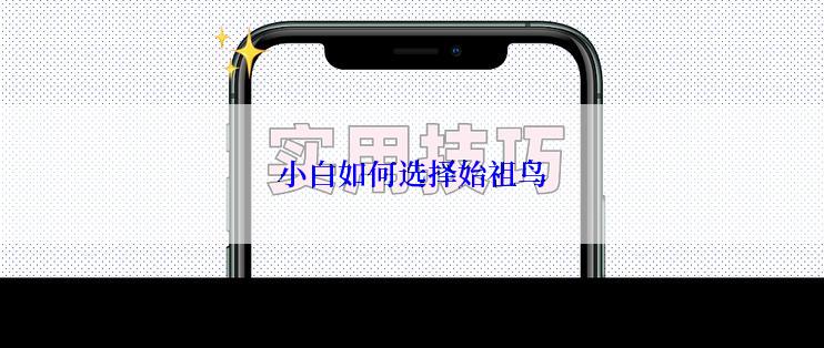 小白如何选择始祖鸟